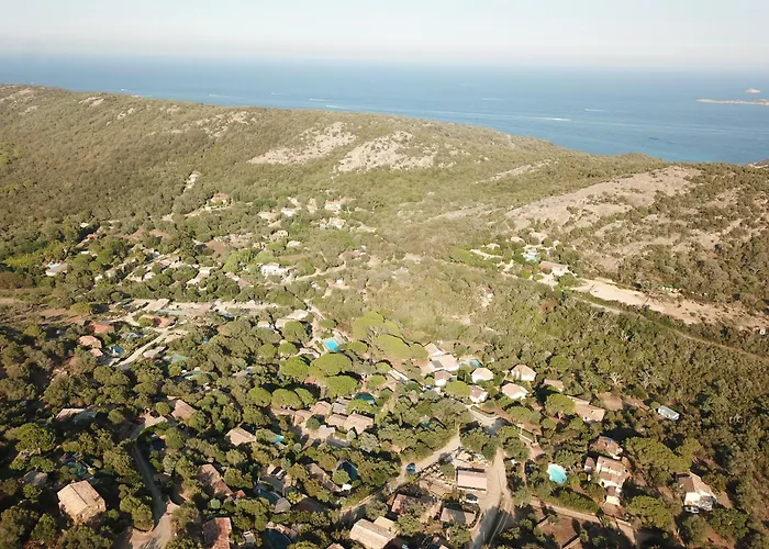 Serenita Pallombaggia *